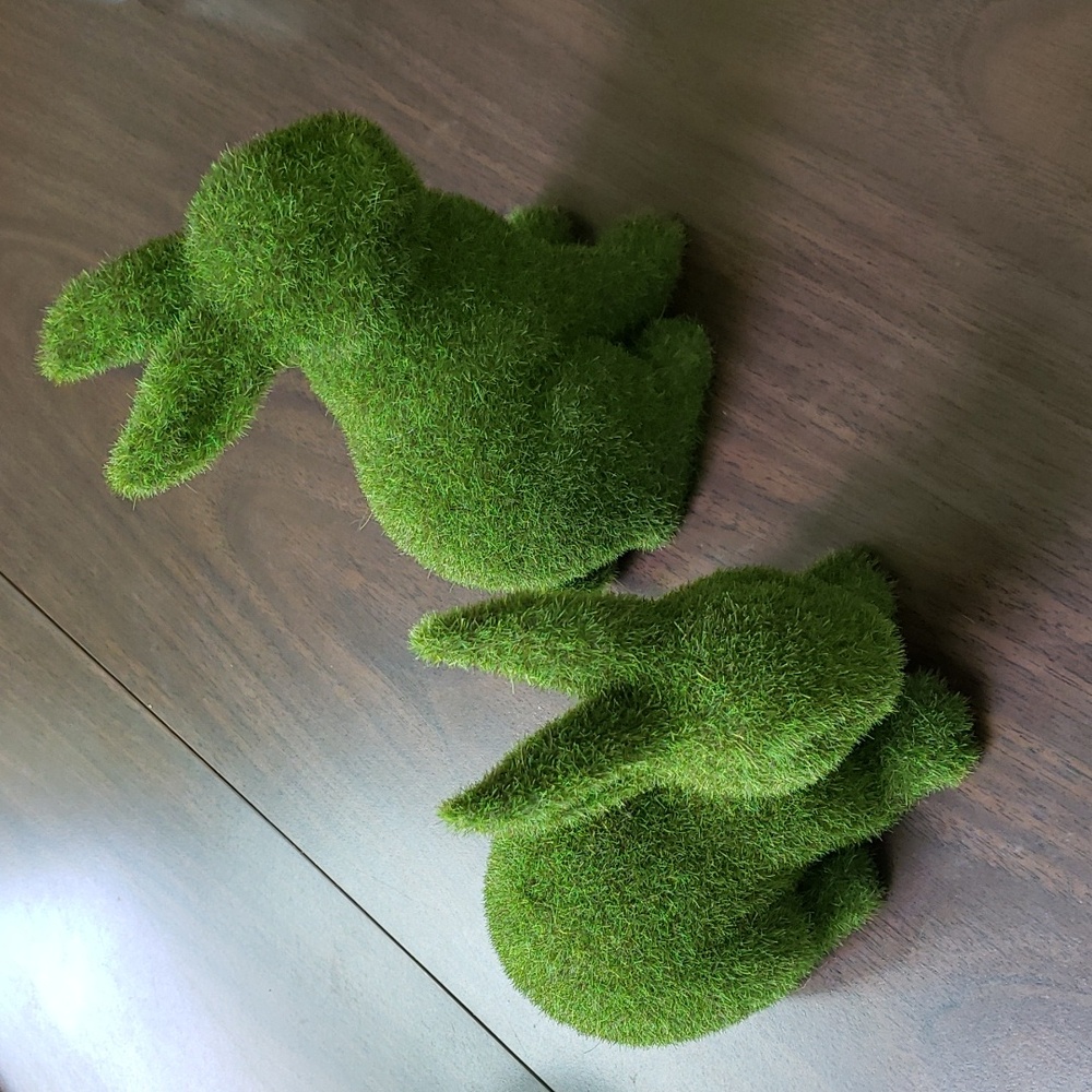 Adorable Moss Bunnies